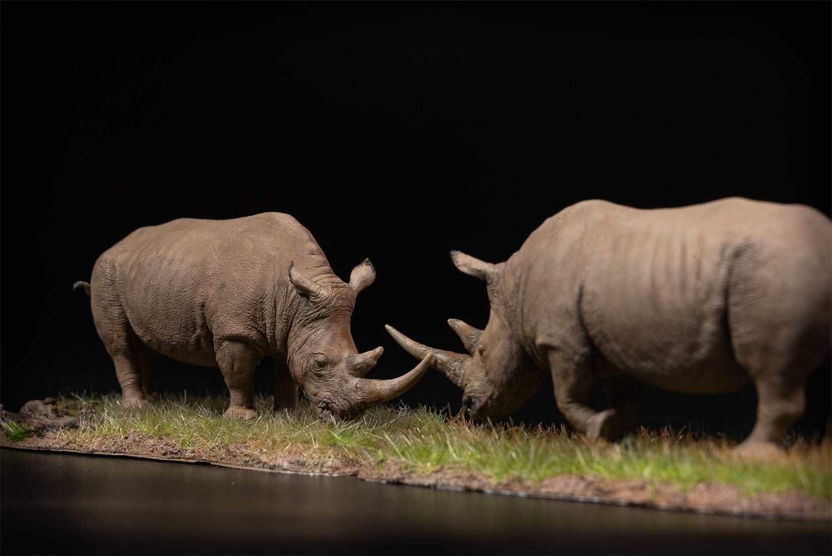 De CLAY Studio 1/35 Scale White rhinoceros battling bulls Model