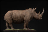 De CLAY Studio White rhinoceros Model