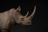 De CLAY Studio White rhinoceros Model