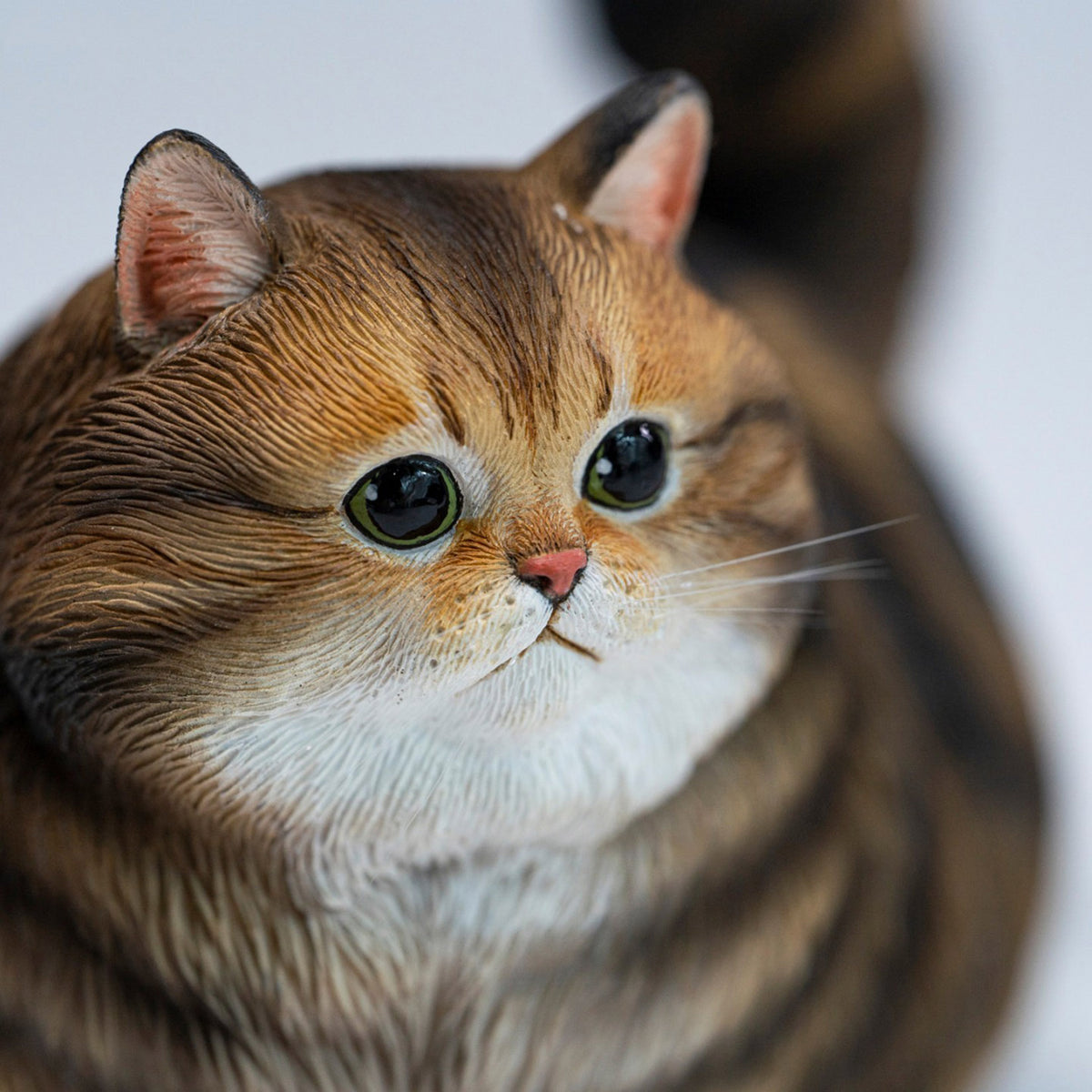 JXK Chubby Kitty Cat Model