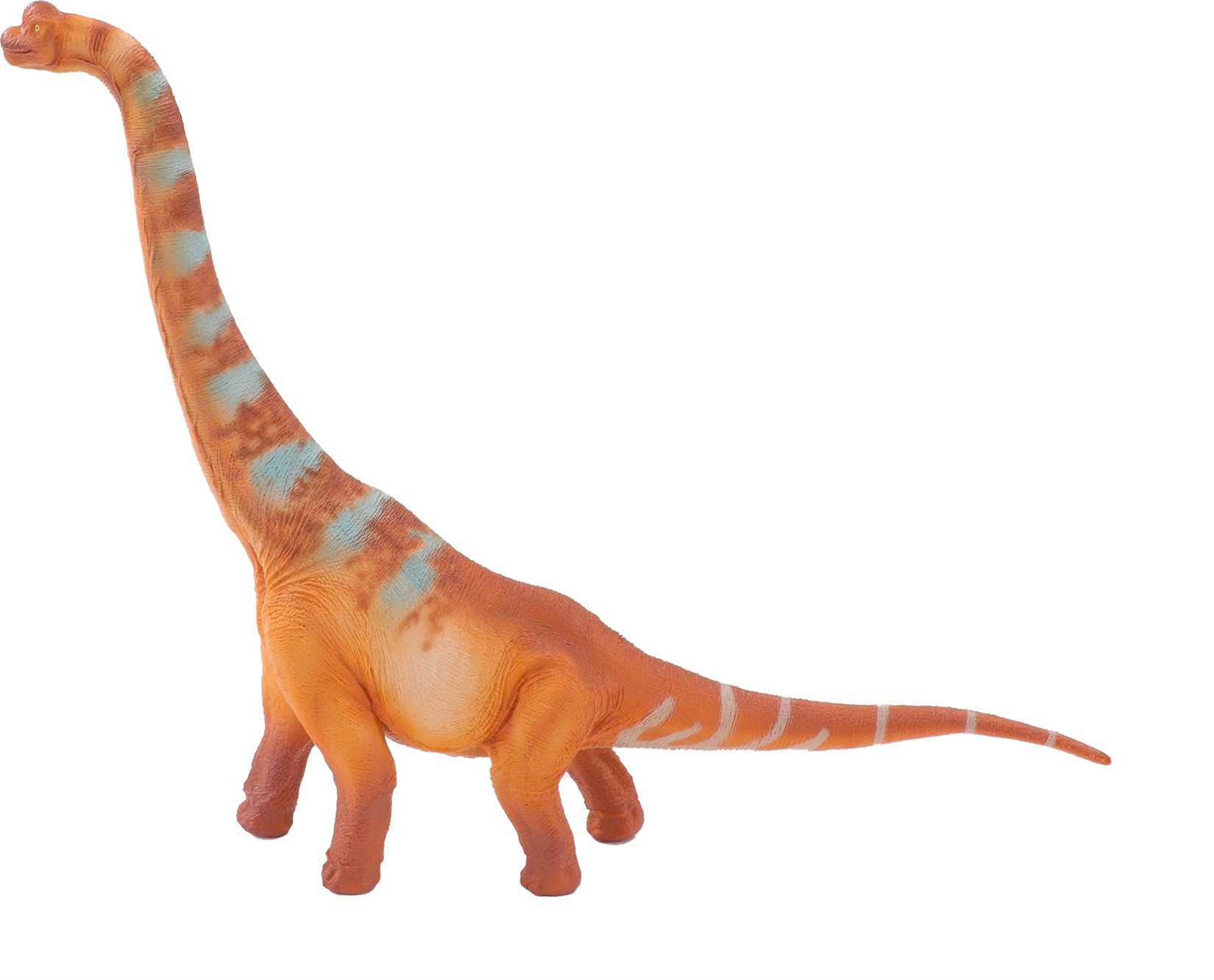 RECUR 1:65 Scale Brachiosaurus Elmer Model