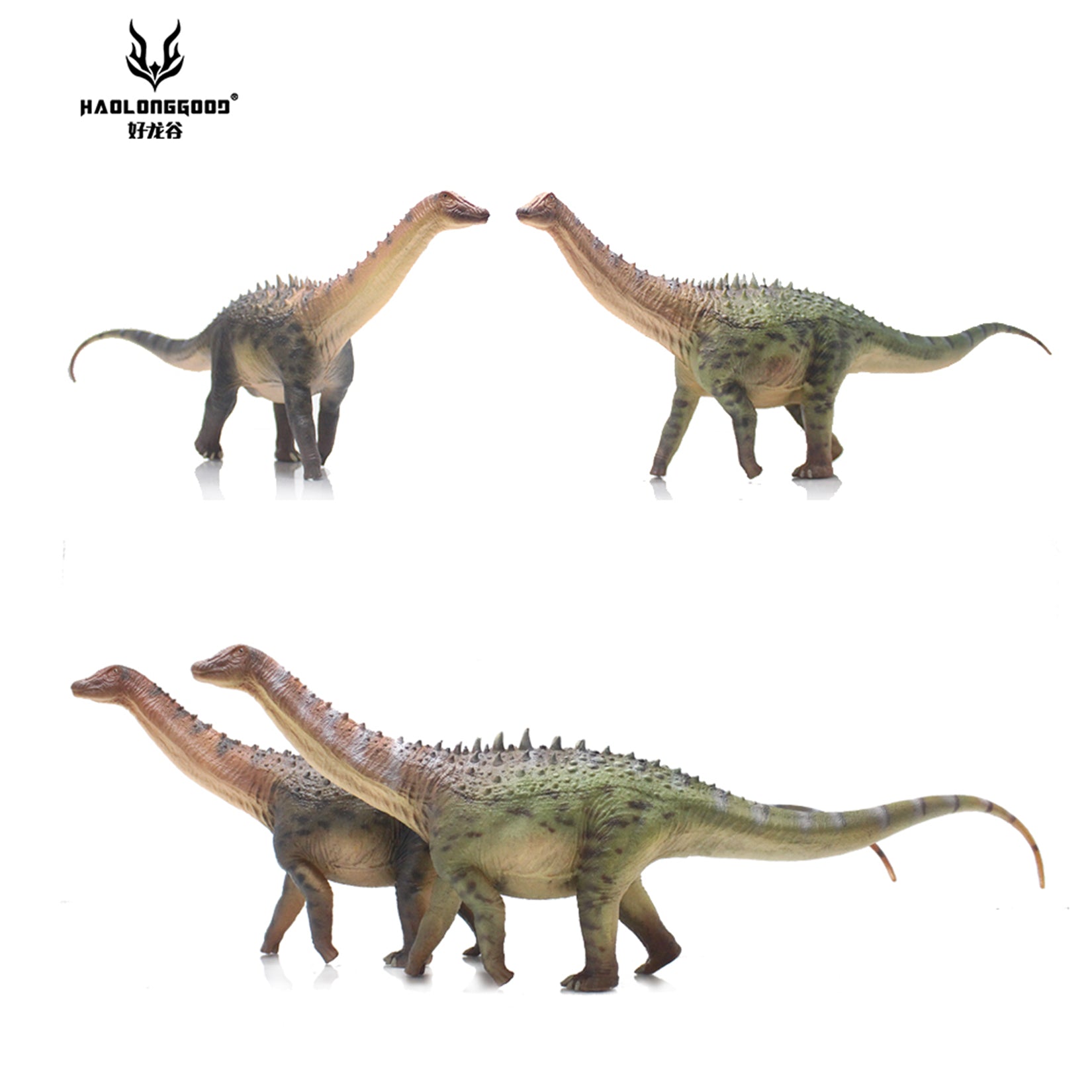 HAOLONGGOOD 1:35 Scale Ampelosaurus Model