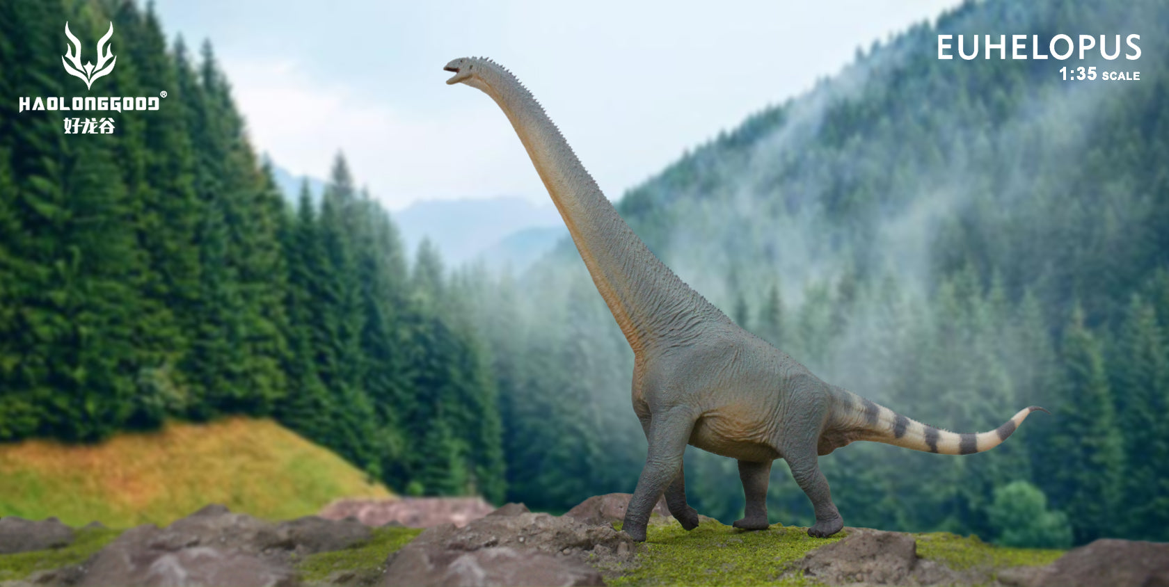 HAOLONGGOOD 1:35 Scale Euhelopus Model