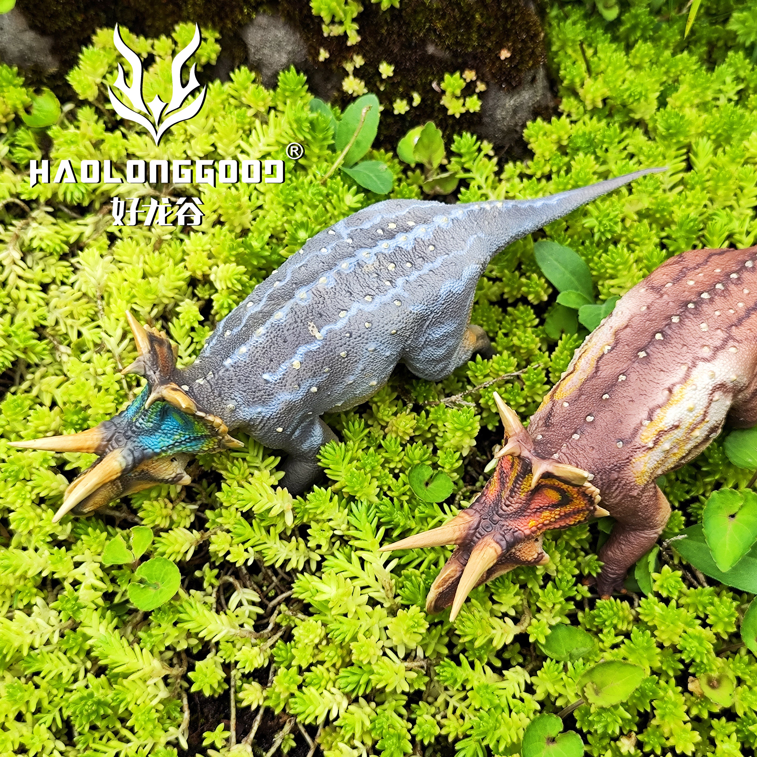 HAOLONGGOOD 1:35 Scale Xenoceratops Model