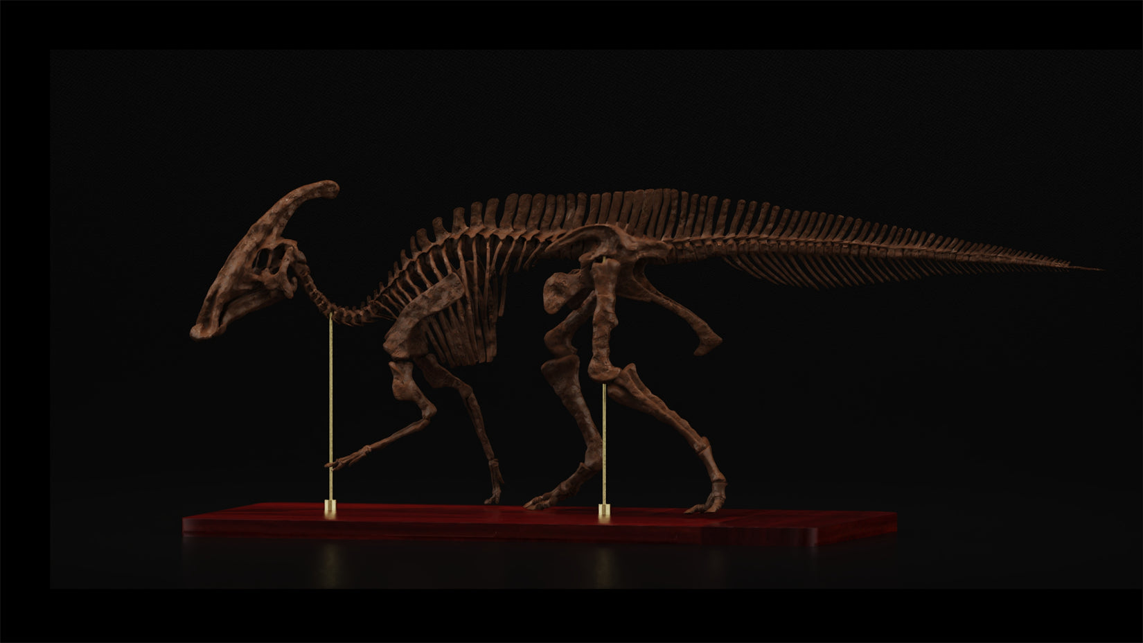 Nova Studio 1/15 Scale Parasaurolophus walkeri Skeleton Model