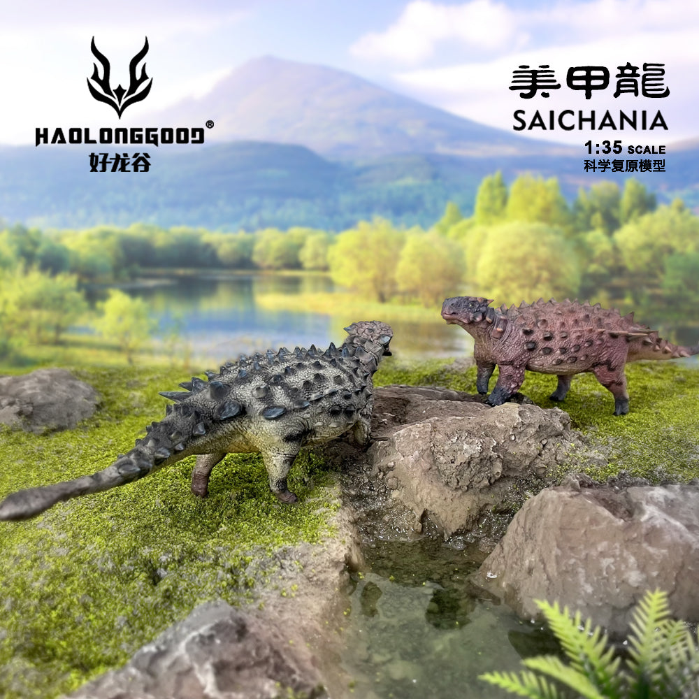 HAOLONGGOOD 1:35 Scale Saichania Model