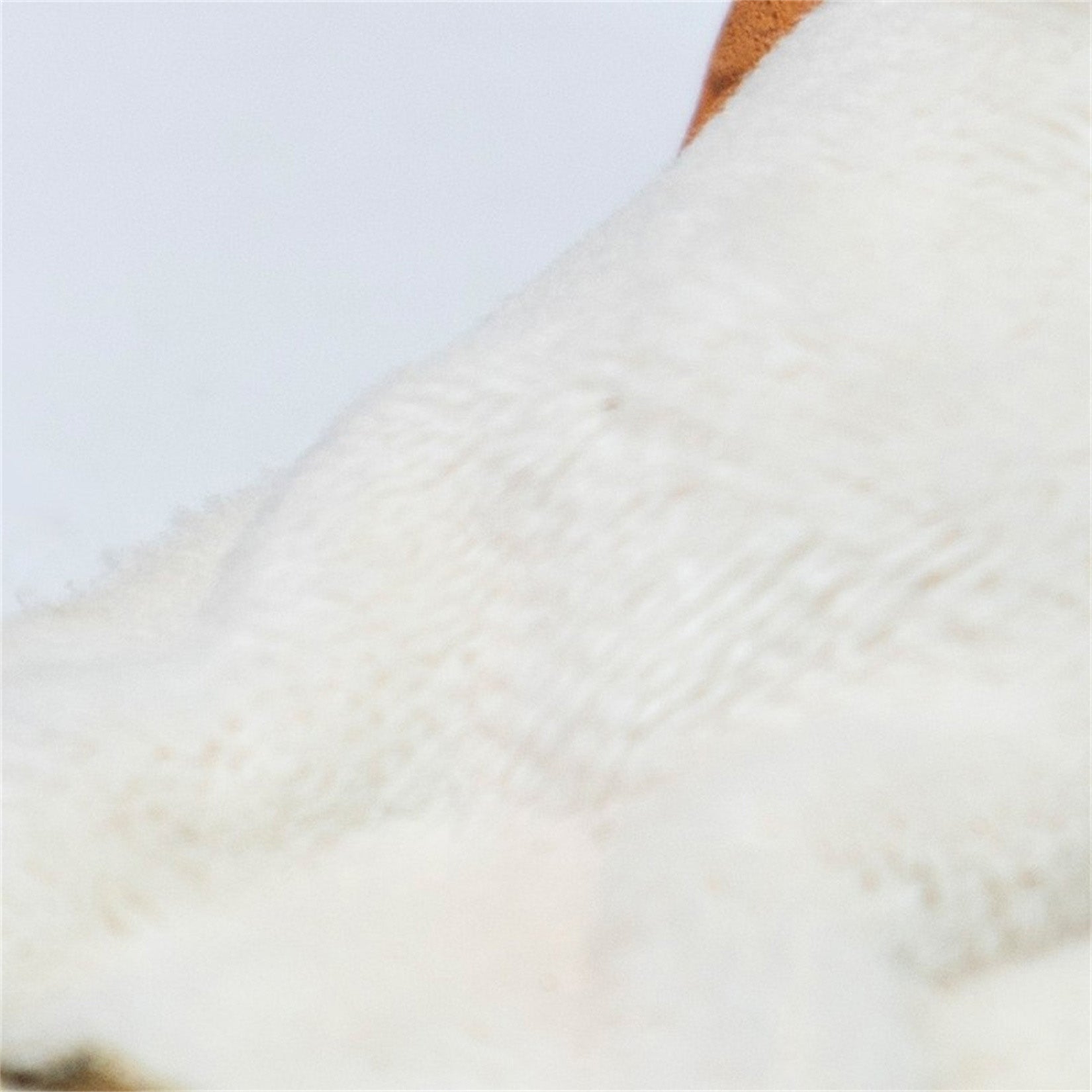 JXK Studio Small Sleeping Cat Model
