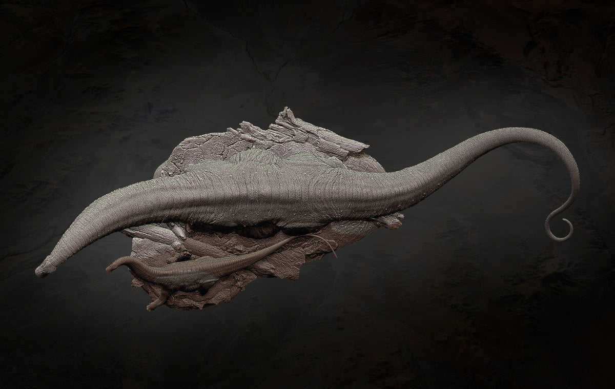 Anningpale Patagotitan-Modell im Maßstab 1:35