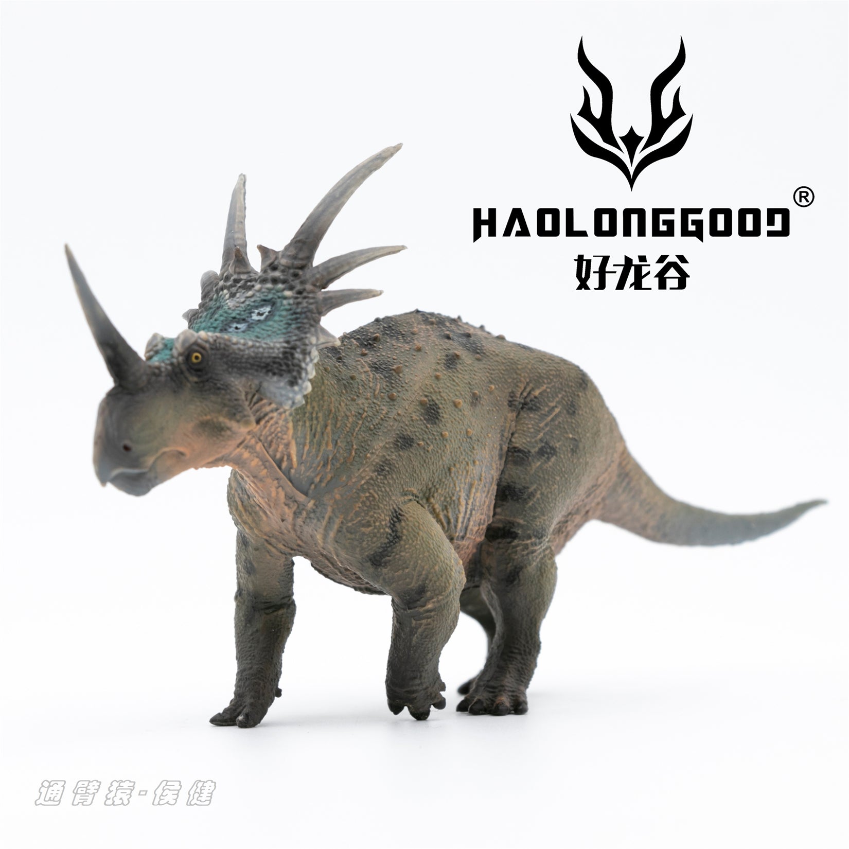 HAOLONGGOOD 1:35 Scale Styracosaurus Model