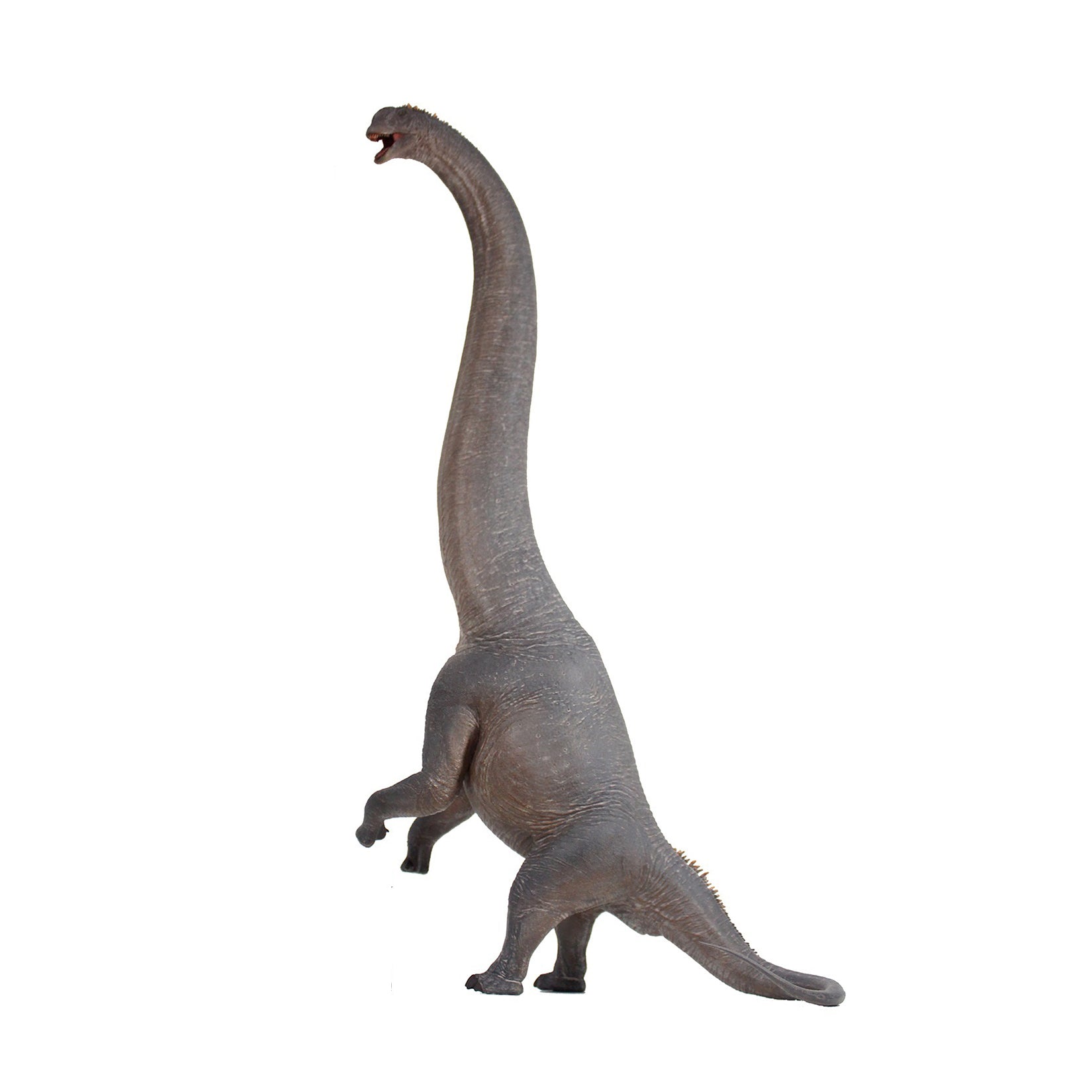 HAOLONGGOOD 1:35 Scale Sauroposeidon Model