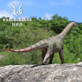 HAOLONGGOOD 1:35 Scale Camarasaurus Model