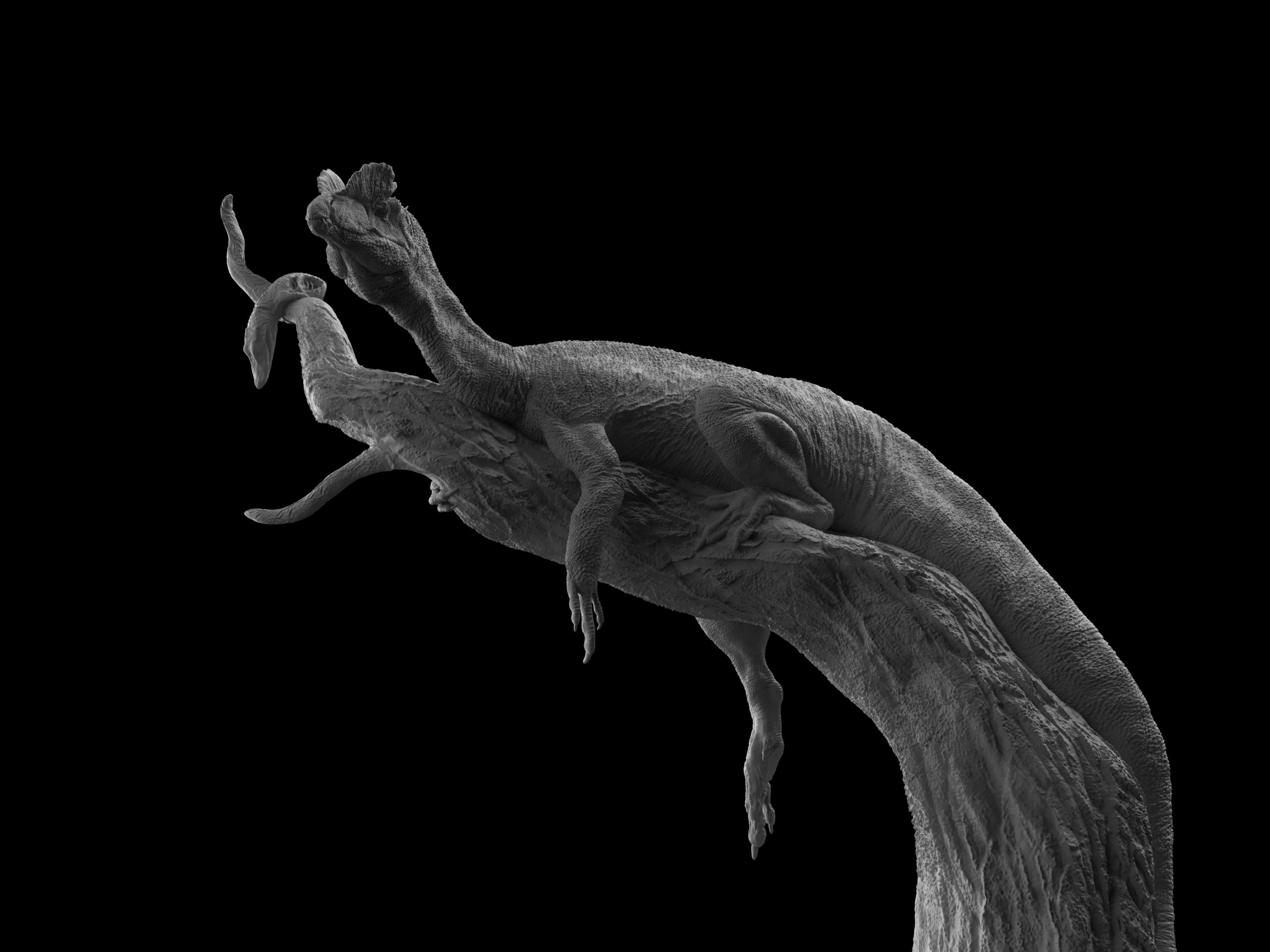 Creature Studio 1/35 Scale Dilophosaurus wetherilli Model