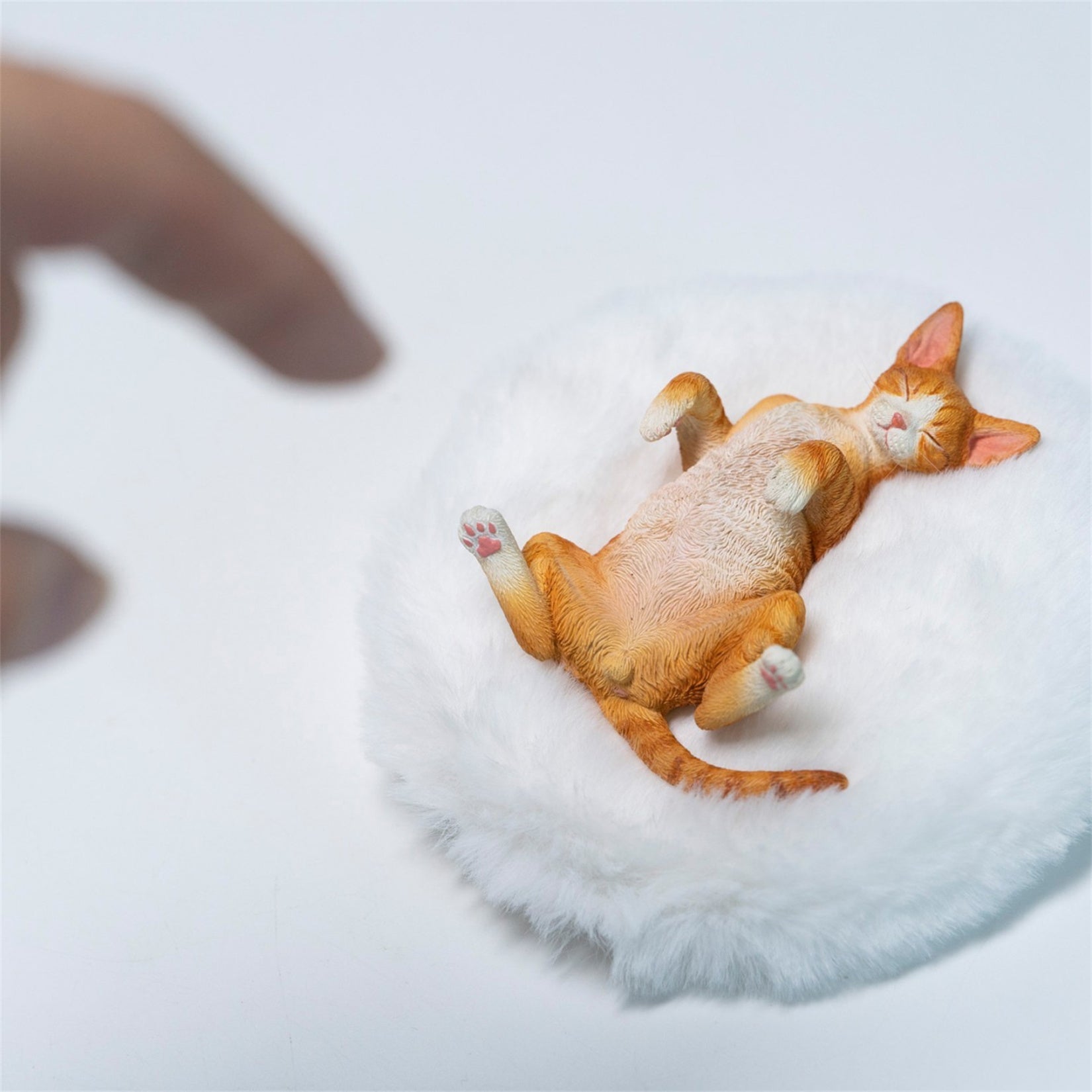 JXK Studio Resting Little Devon Rex Model