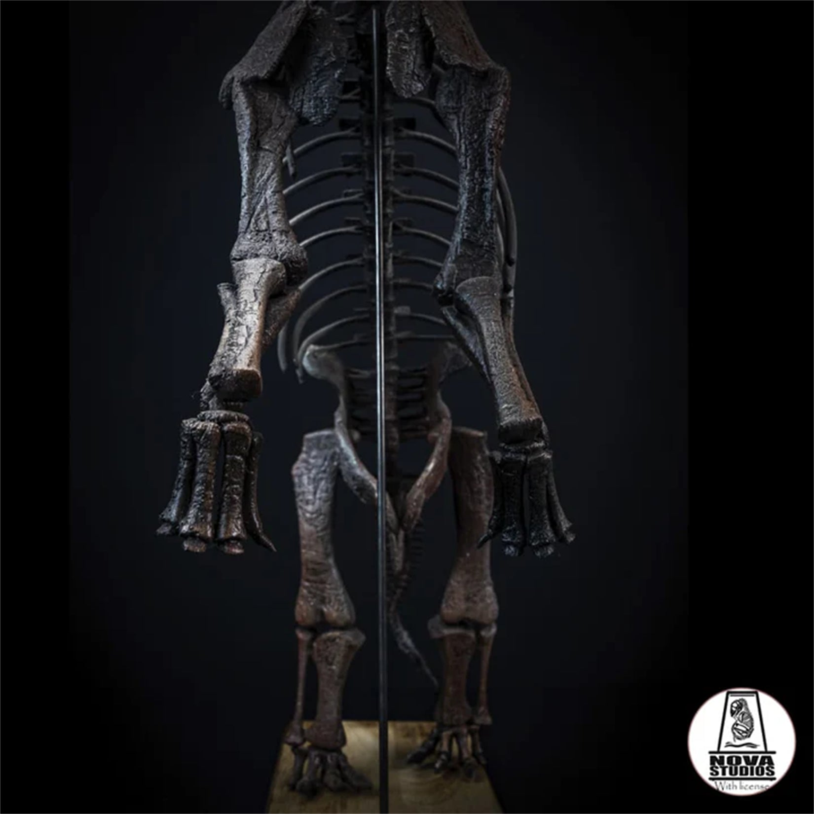 Nova Studio 1/18 Scale Giraffatitan brancai Keleton Model