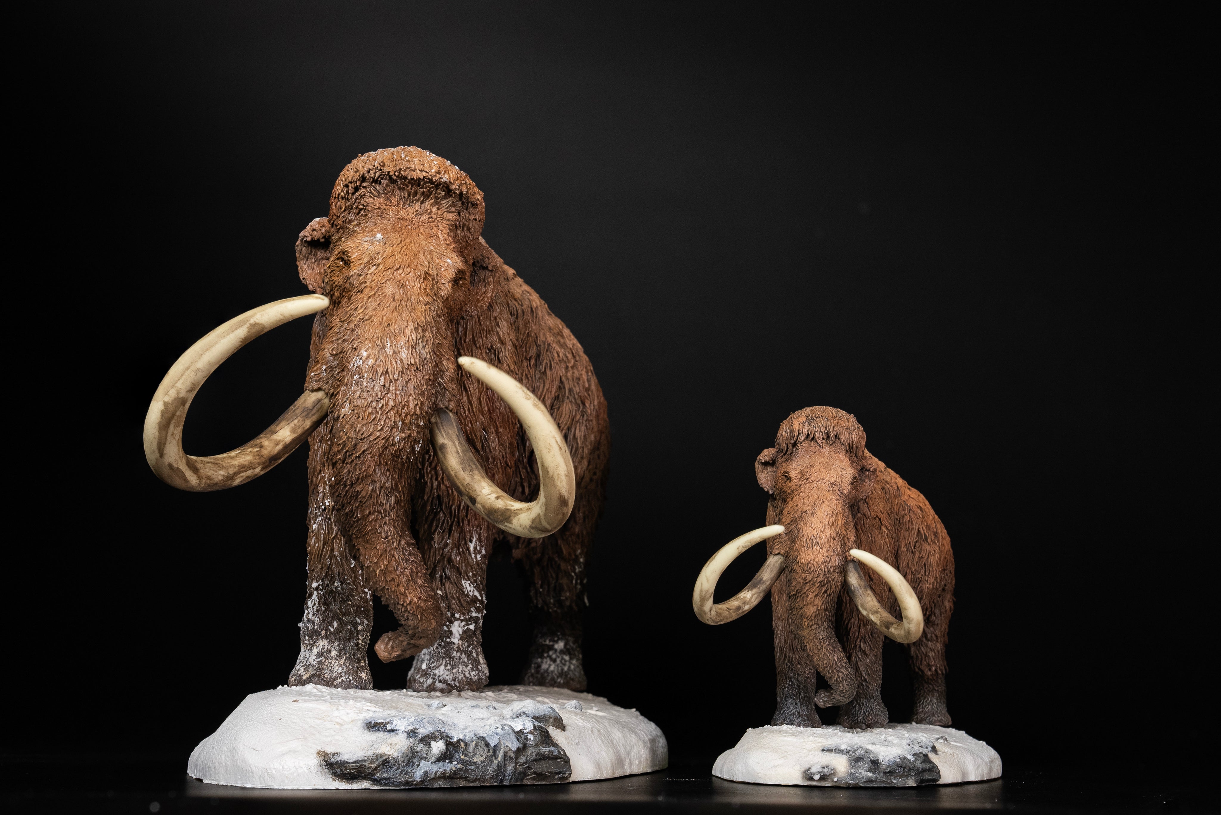 De CLAY Studio Woolly mammoth Model