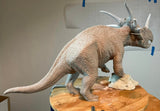 Sumeru Studio Styracosaurus Model