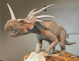 Sumeru Studio Styracosaurus Model