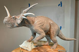 Sumeru Studio Styracosaurus Model