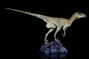 Deinonychus 1/8 scale painted version Model