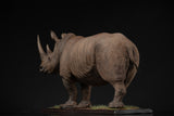 De CLAY Studio White rhinoceros Model