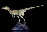 Deinonychus 1/8 scale painted version Model