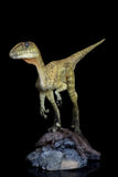 Deinonychus 1/8 scale painted version Model