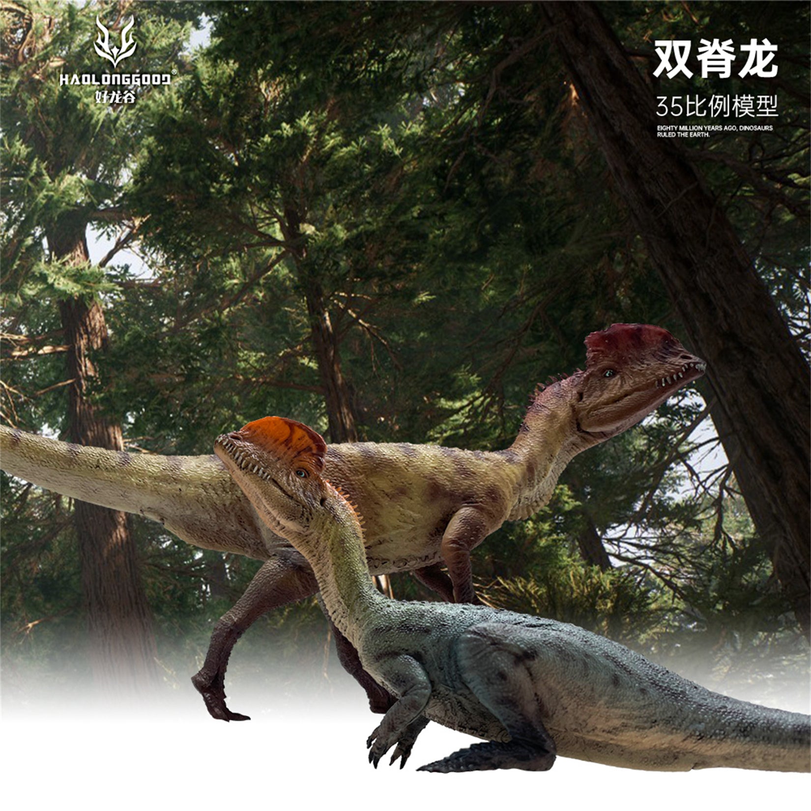 HAOLONGGOOD 1:35 Scale Dilophosaurus Pair Model