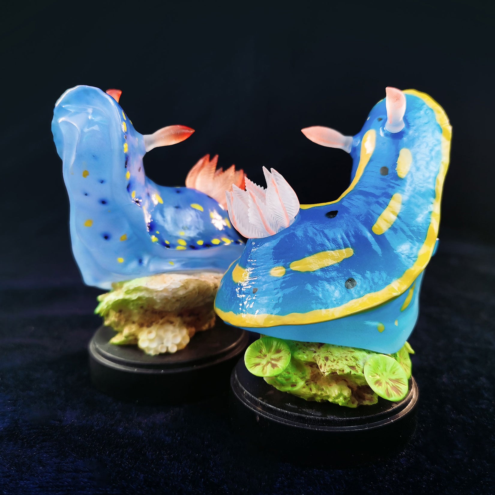 Sea Sprite 03 Series Model