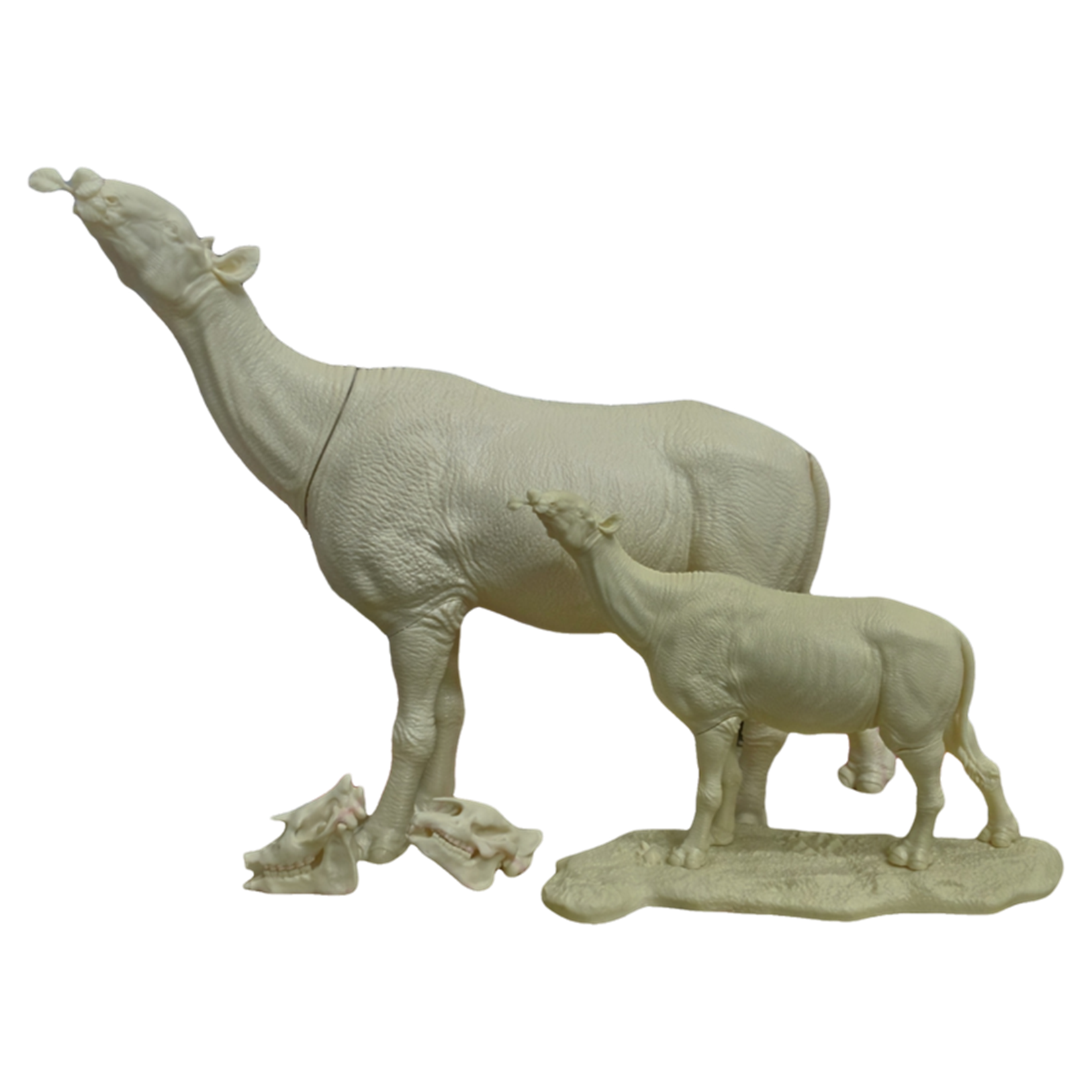 PASSION CHARGER Paraceratherium Grangeri Model