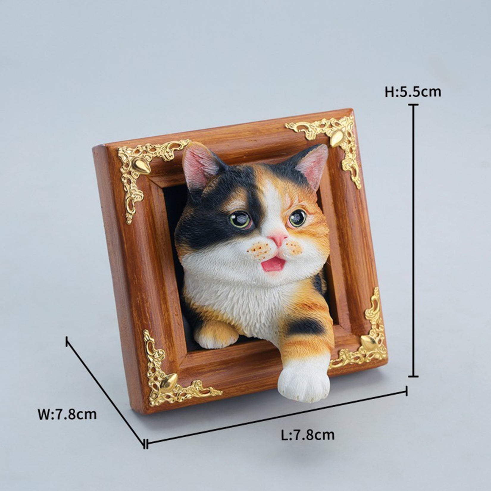 JXK Studio Escaped Domestic Cat Model