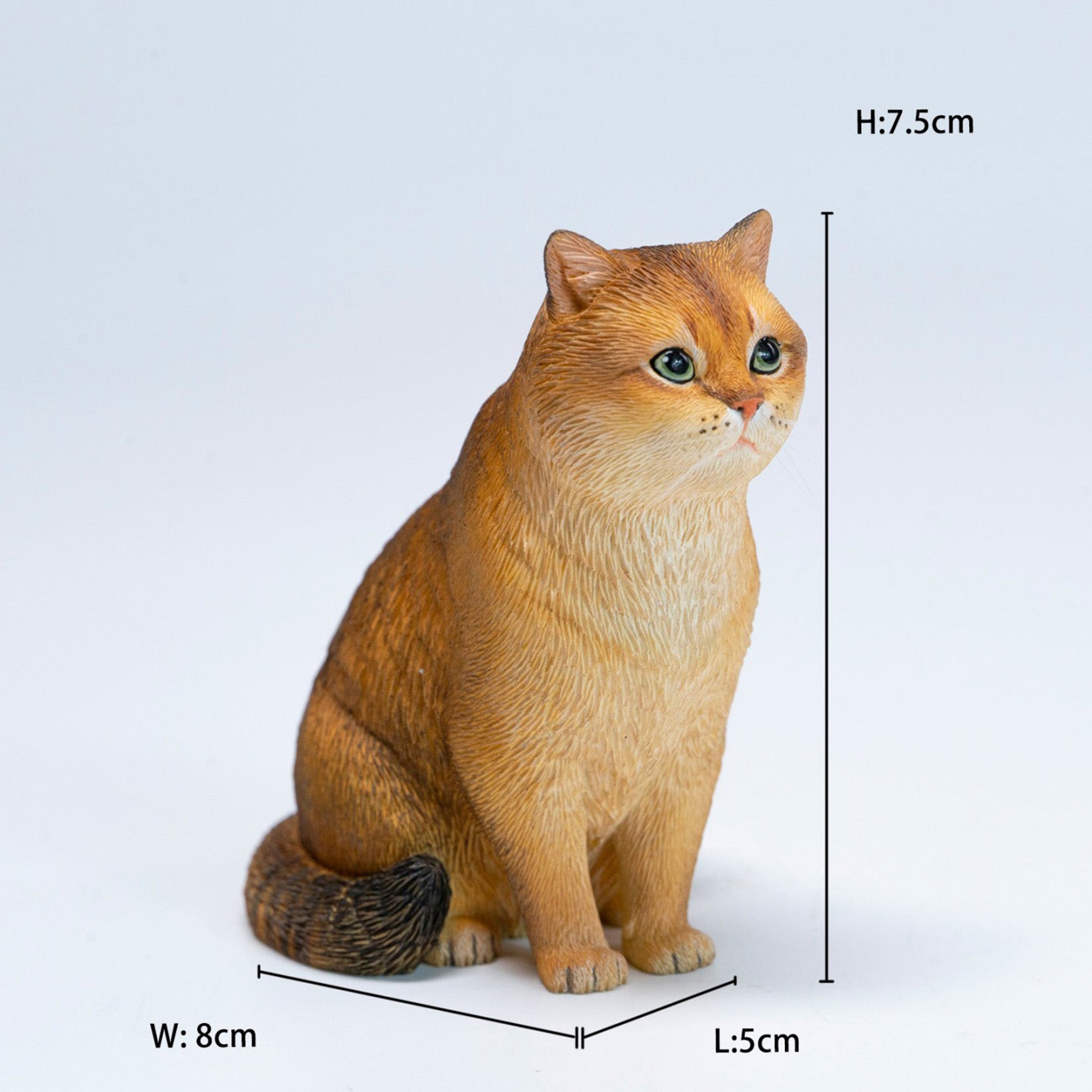 JXK Studio British Shorthair Cat Model