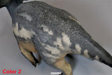 De CLAY Studio Torosaurus latus 2.0 Model