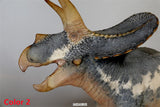 De CLAY Studio Torosaurus latus 2.0 Model