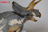 De CLAY Studio Torosaurus latus 2.0 Model