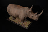 De CLAY Studio White rhinoceros Model