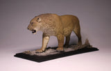 De CLAY Studio American lion Model