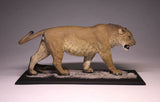 De CLAY Studio American lion Model