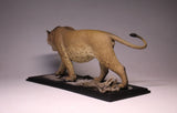 De CLAY Studio American lion Model