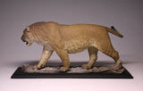 De CLAY Studio American lion Model