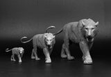 De CLAY Studio American lion Model