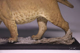 De CLAY Studio American lion Model