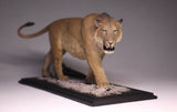 De CLAY Studio American lion Model