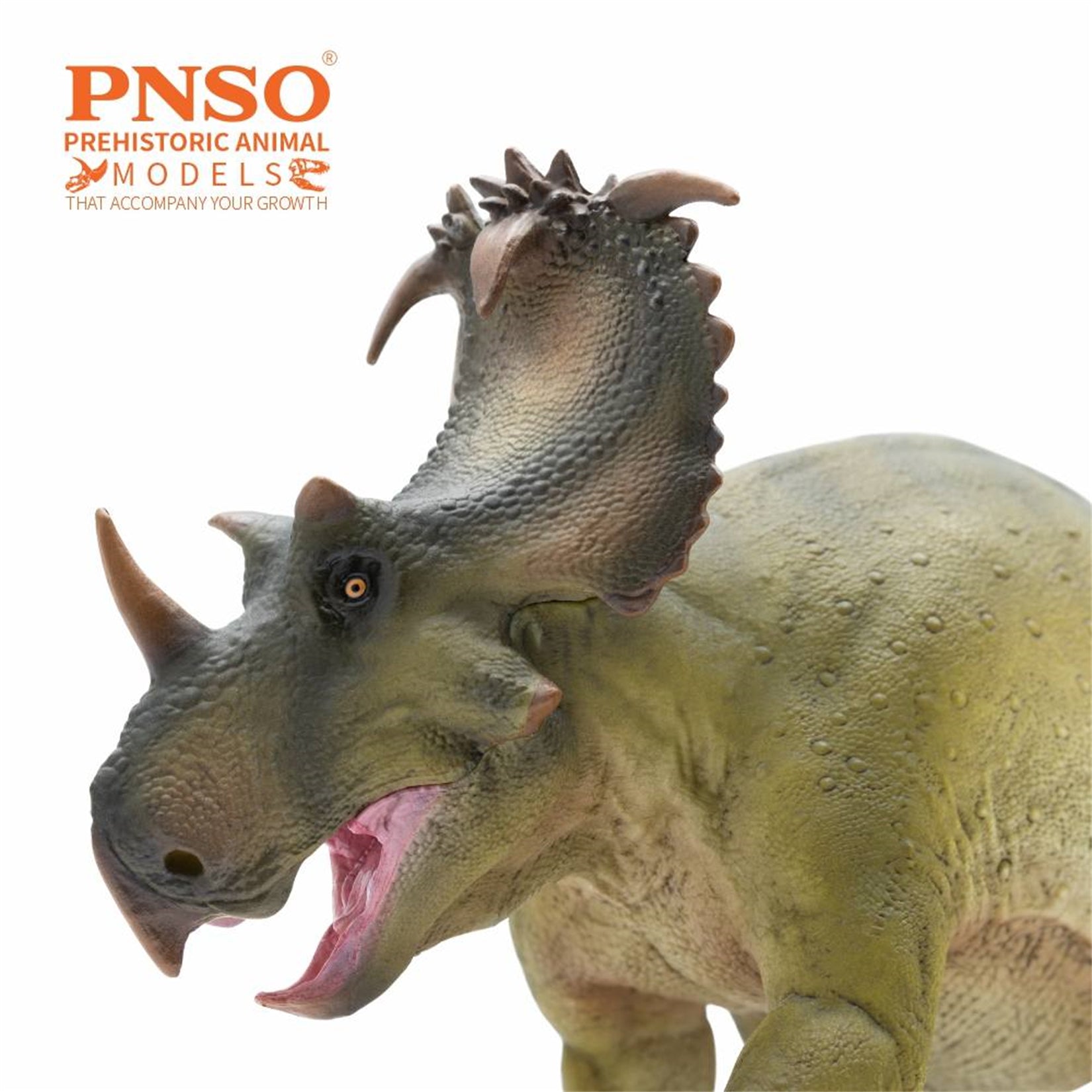 PNSO 89 Russo Coronosaurus Model