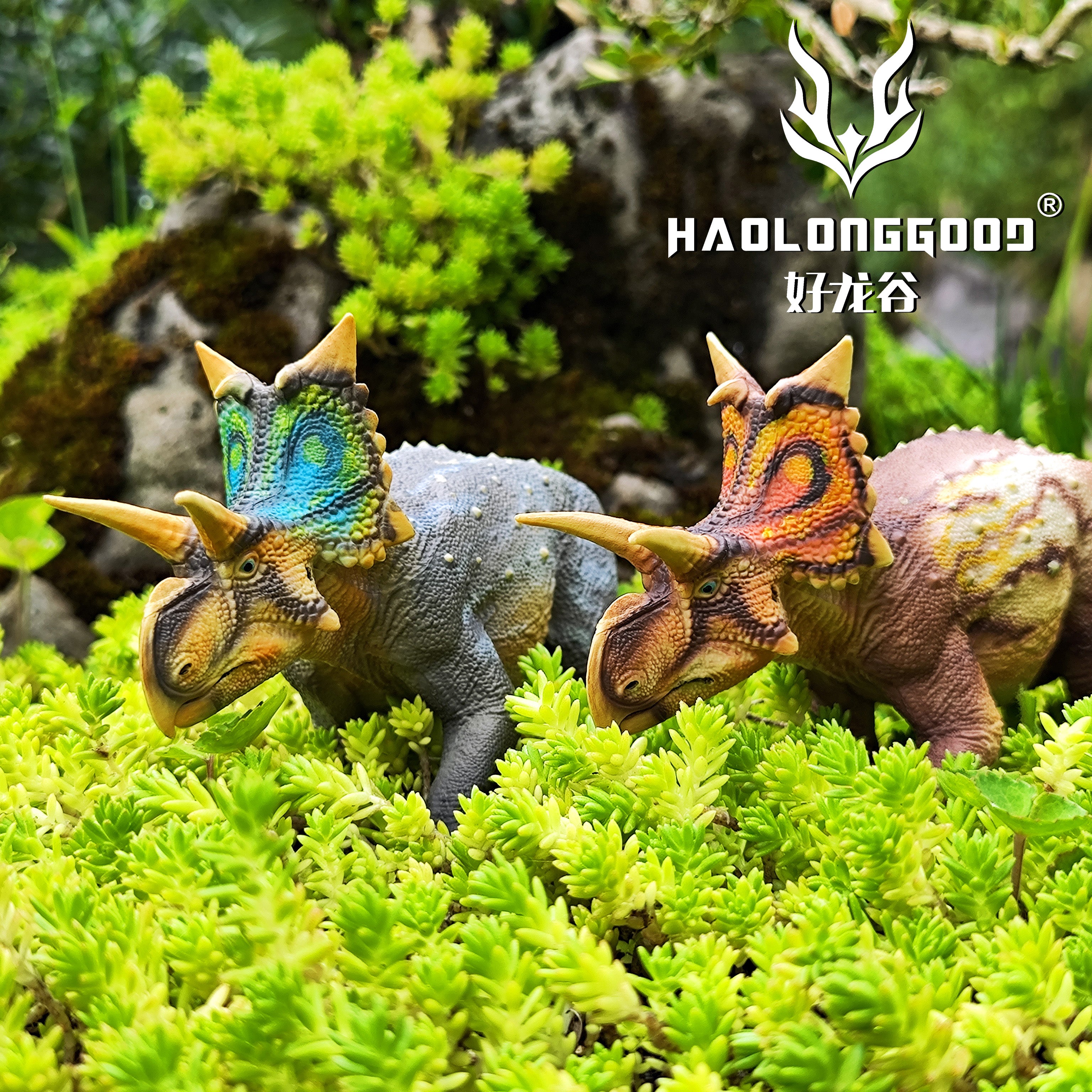 HAOLONGGOOD 1:35 Scale Xenoceratops Model