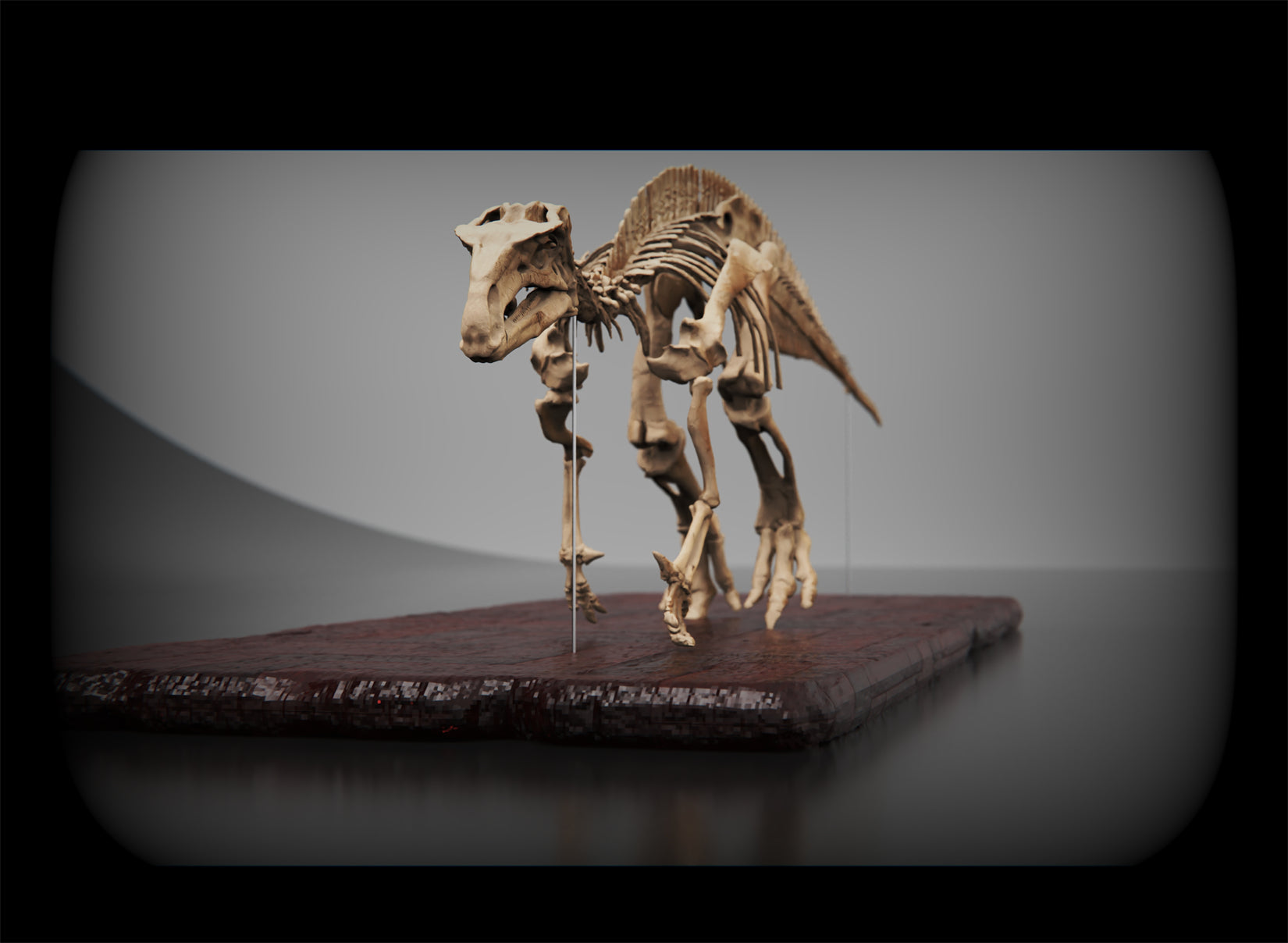 Nova Studio 1/10 Scale Iguanodon bernissartensis Keleton Model