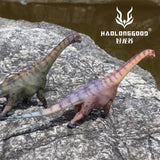 HAOLONGGOOD 1:35 Scale Camarasaurus Model