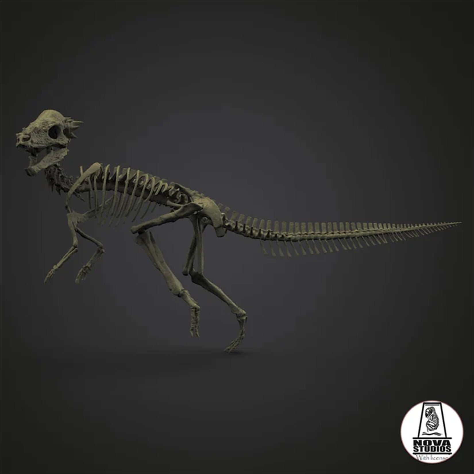 Nova Studio 1/8 Scale Pachycephalosaurus wyomingensis Skeleton Model