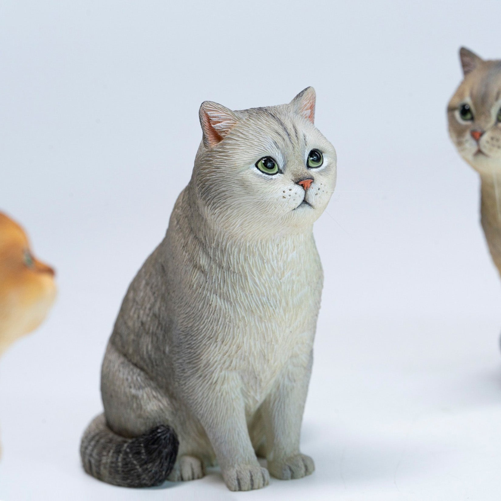 JXK Studio British Shorthair Cat Model