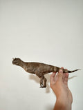 Creature Studio 1/35 Scale Carnotaurus Model