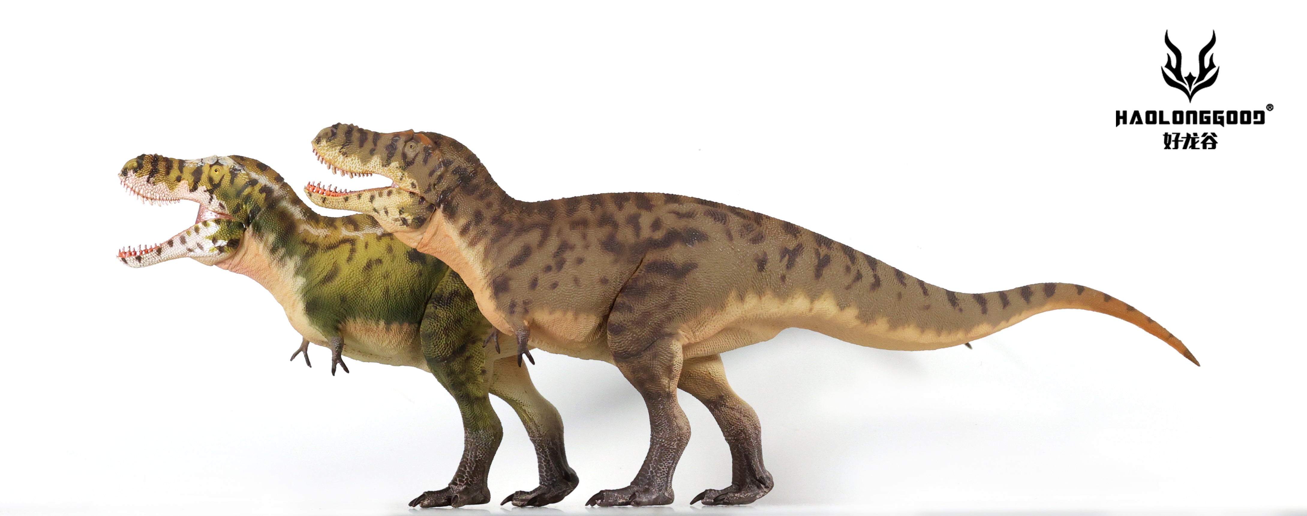 HAOLONGGOOD 1:35 Scale Tarbosaurus Model